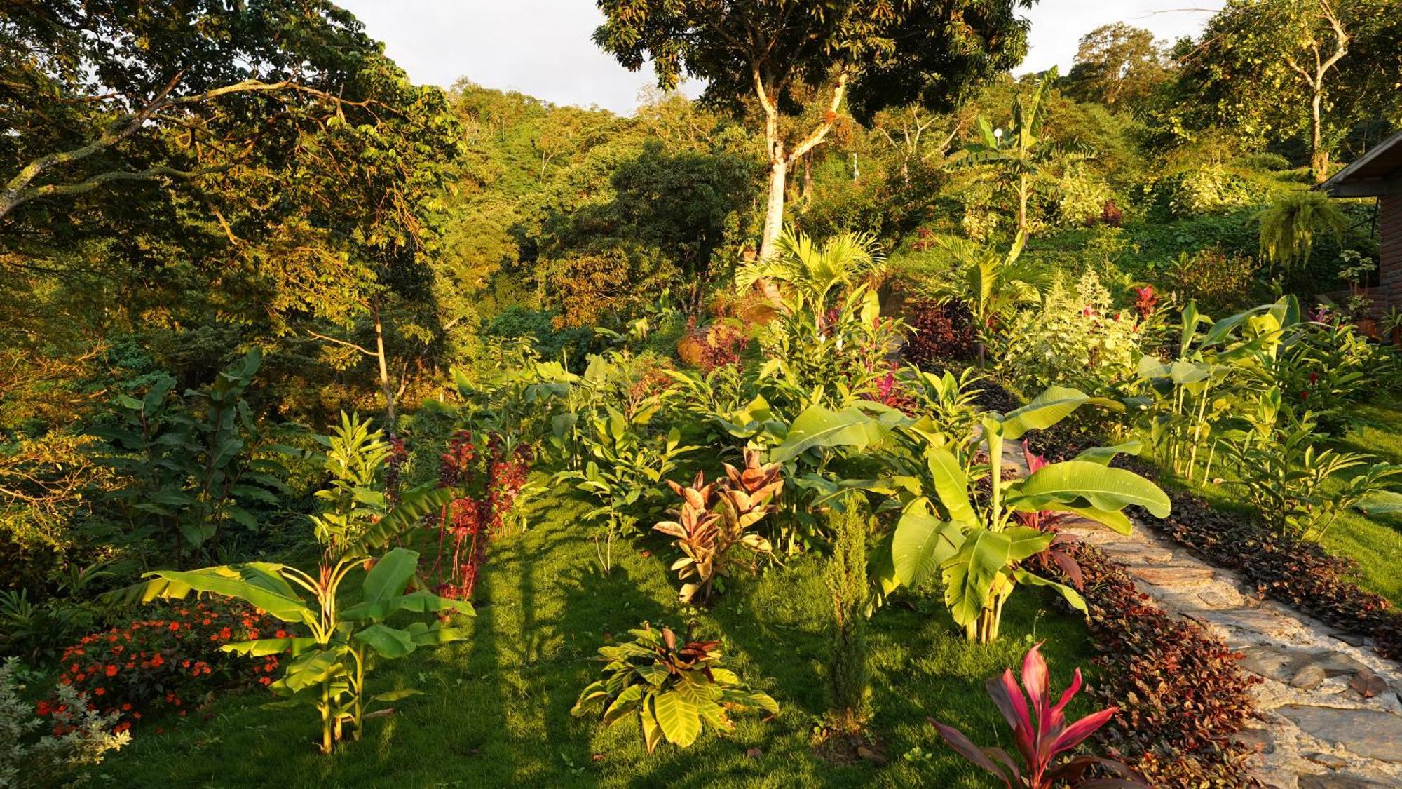 Minca Sintropia - Sustainable Lodge & Organic Coffee Finca Exterior foto