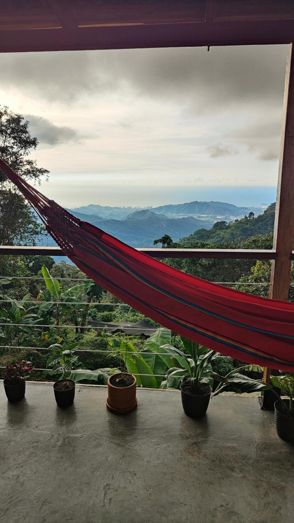Minca Sintropia - Sustainable Lodge & Organic Coffee Finca Zimmer foto