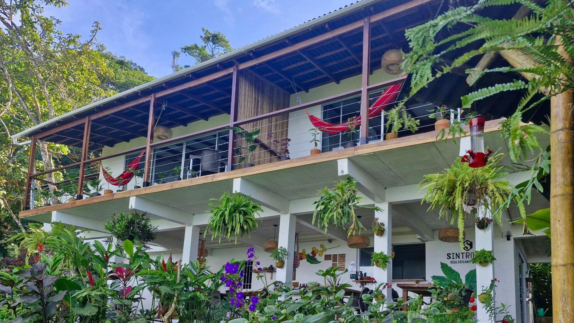 Minca Sintropia - Sustainable Lodge & Organic Coffee Finca Zimmer foto