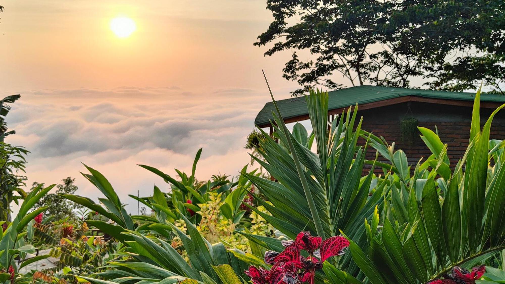Minca Sintropia - Sustainable Lodge & Organic Coffee Finca Exterior foto