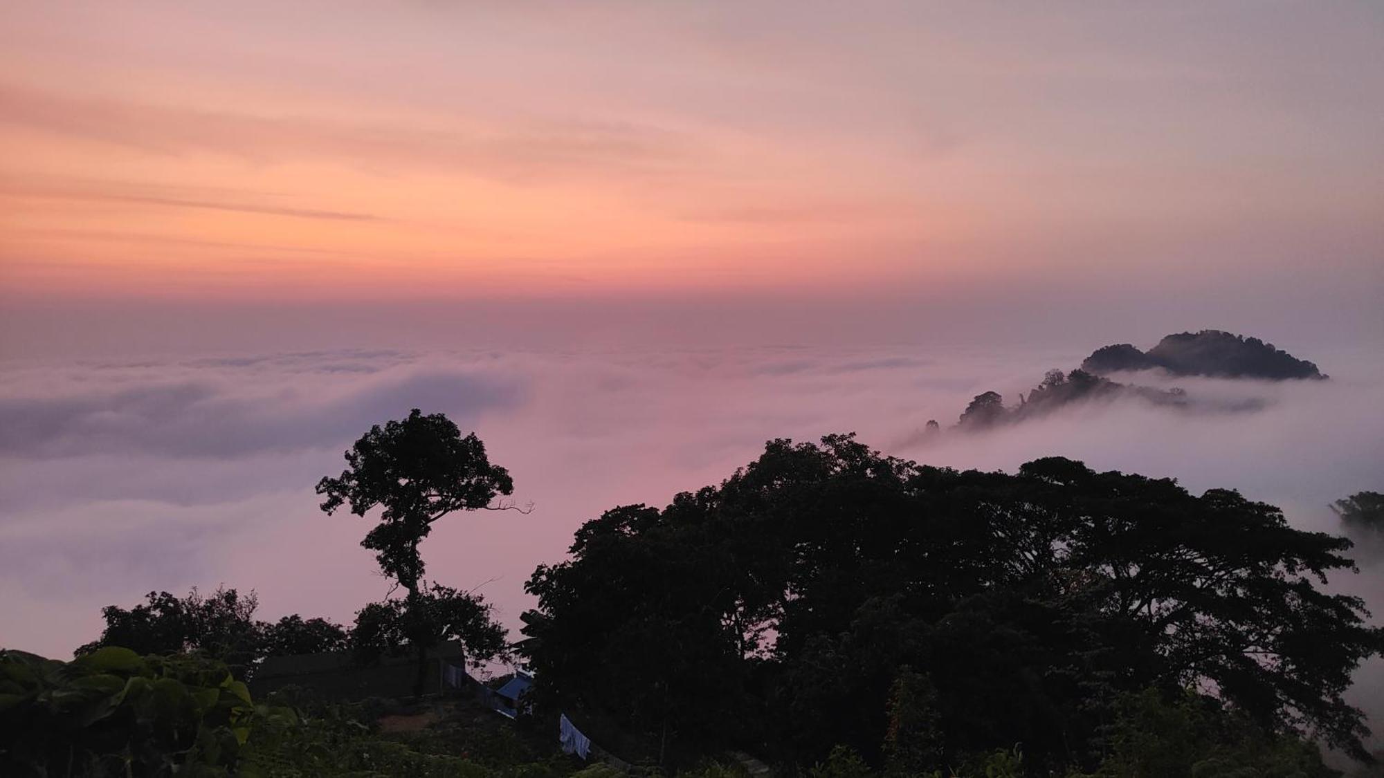 Minca Sintropia - Sustainable Lodge & Organic Coffee Finca Exterior foto